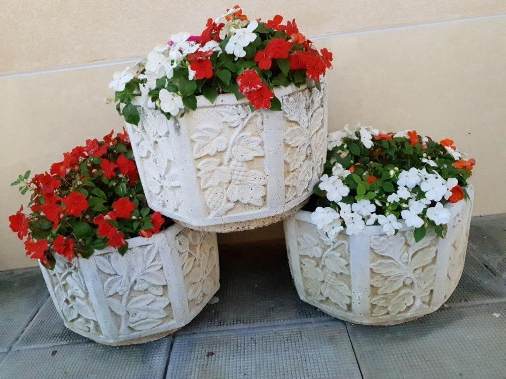 Анси Поморие Екстериор снимка